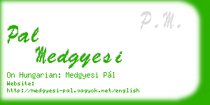 pal medgyesi business card